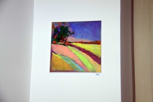 IMG_8805