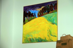 IMG_8910