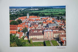 IMG_2667