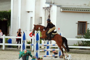 IMG_5386