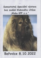 01Fotografie(2022-10-9)0002