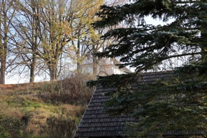 IMG_3895