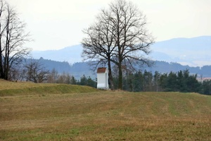 IMG_7490