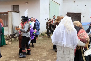 IMG_7728