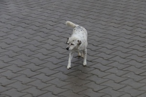 IMG_3576