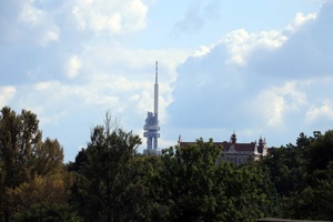IMG_8461