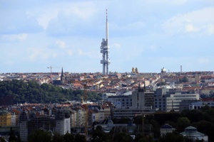 IMG_8553