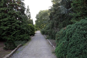 IMG_8583
