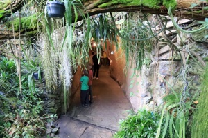 IMG_8616