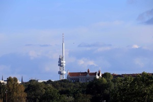 IMG_8728