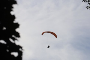 IMG_8866