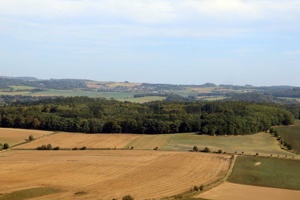 IMG_9388