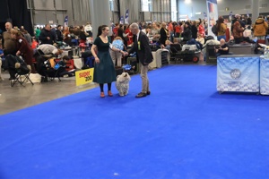 IMG_3925