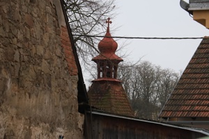 IMG_4568