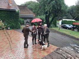 IMG-20240914-WA0015