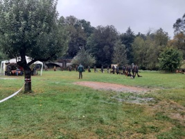IMG-20240914-WA0017