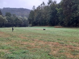 IMG-20240914-WA0030