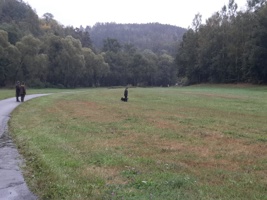 IMG-20240914-WA0031