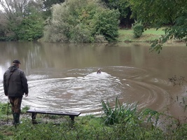 IMG-20240914-WA0040