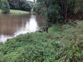 IMG-20240914-WA0046