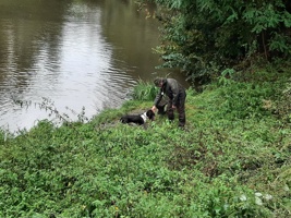 IMG-20240914-WA0047
