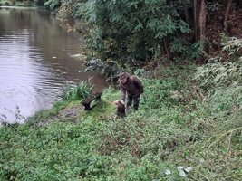 IMG-20240914-WA0049
