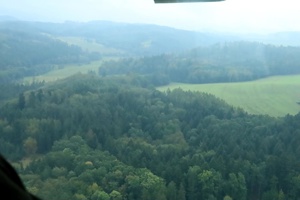 IMG_6275