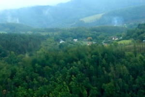 IMG_6395