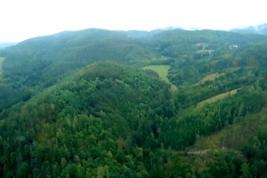 IMG_6398