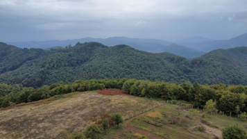 dji_fly_20240919_142848_222_1726749000392_photo_optimized