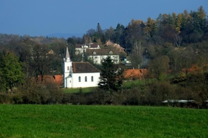 IMG_8646