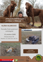 13 přednáška Hlubocká