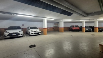 20250212_093814