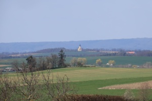IMG_1242