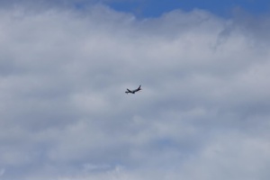 IMG_3557