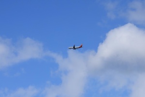 IMG_3671