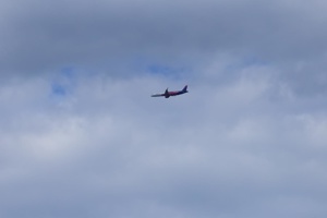 IMG_3826