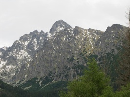 UP 005.jpg