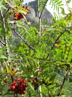 UP 044.jpg