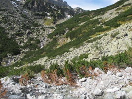 UP 081.jpg