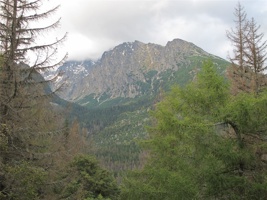 IMG_4000.JPG