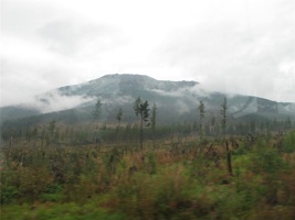 IMG_3796.JPG