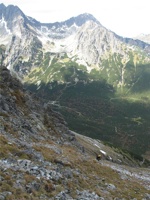 IMG_3892.JPG