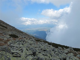 IMG_3901.JPG