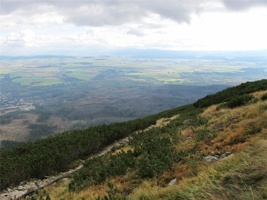IMG_3960.JPG