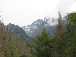 UT 003.jpg