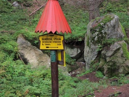 UT 006.jpg
