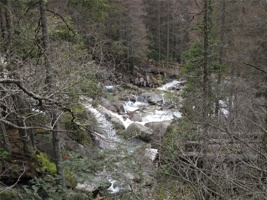 UT 033.jpg