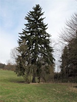 SY-098.jpg