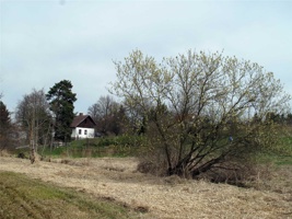 SY-168.jpg